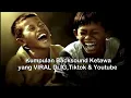 Download Lagu KUMPULAN BACKSOUND ORANG KETAWA 2022 Yang VIRAL di IG,TIKTOK \u0026 YOUTUBE
