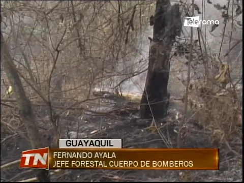 Continúa el incendio forestal en el cerro Colorado