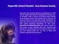 Naperville Area Humane Society by Naperville Animal Hospital