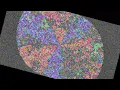 Simulated Feedback on the GPU Run 5876
