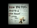 ANOTR & Leven Kali & Erik Bandt – How You Feel (Original Mix)