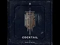 คู่ชีวิต - COCKTAIL