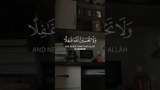 ولا تحسبن الله غافلا عما يعمل الظالمون فارس عباد 