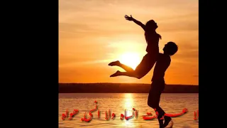 حبيبي يا ليل   ابو   حالة واتس دندنها