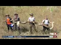 17-foot python is largest ever removed from Florida s Big Cypress National Preserve
