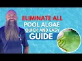 3 Types of Pool Algae How to Remove Them Like a Pro