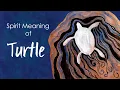 Turtle Spirit Totem Spirit Meaning of Tortoise Turtle Terrapin