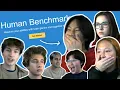I Challenged My Friends To The Human Benchmark Test Who is the smartest