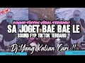 DJ SA JOGET BAE BAE LE REMIX FULLBASS TIKTOK VIRAL TERBARU FULLBASS TIKTOK 2025
