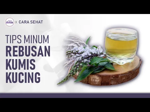 Untuk Asam Urat dan ISK, Ini Tips Minum Rebusan Kumis Kucing