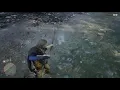 RDR2 Survivalist challenge 7 8 consecutive small game kills