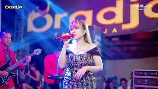 dradja certainly 14 days star avis nicki imam u0026 dian wedding lebak pakisaji jepara