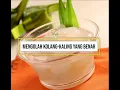Download Lagu Cara Mengolah Kolang Kaling yang Benar