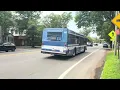 CTtransit 2008 D35LF on route 243B whalley Ave