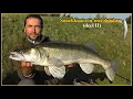 Download Lagu SNOEKBAARS VISSEN met DOODAAS ( deel II ) - HOE te vissen met DOOD AAS op GROTE SNOEKBAARZEN #97
