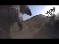 Ice Age Giants Smilodon vs Shasta Ground Sloth resounded