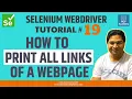 Selenium WebDriver Tutorial - How to Print all Links of a Webpage