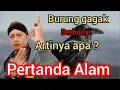 Download Lagu PERTANDA ALAM dari BURUNG GAGAK ‼️ANTISIPASI