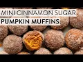 Mini Cinnamon Sugar Pumpkin Muffins Sally s Baking