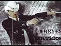 los dareyes de la sierra - vida mafiosa o la hielera