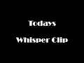 Check out the Whisper on NVDA