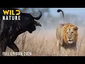 Download Lagu WILD SAVANNAH | Survival Stories from the Heart of Africa | Animal documentary