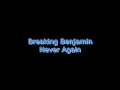 Breaking Benjamin - Never Again | Lyrics on screen | HD