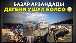 Манас шаары Мал базары 🔥 #малбазар #койбазар #кыргызстан #рекомендации 