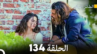 مسلسل الطائر المبكر الحلقة 134 Arabic Dubbed FULL HD 