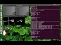 Algorithm Demo of Vector Field Histogram