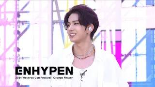 orange flower stage cam aliexpress 2024 weverse con festival enhypen 