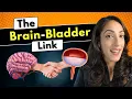 How a back or brain injury can permanently change your bladder Types of neurogenic bladder