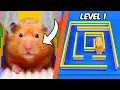 I built a LEGO MAZE for a HAMSTER