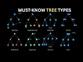 Stop Memorizing One Tree Learn All 8 in 2 Minutes
