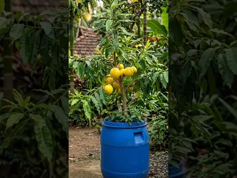ഇതു വേണ്ടവർ പറയൂ