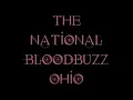 The National - Bloodbuzz Ohio Lyrics (On screen)