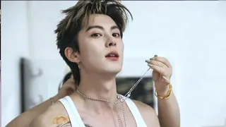 ENG SUB Dylan Wang VDO Vlog Short trip back to Chengdu as Tao s concert guest Wang Hedi 2026