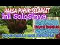 Lagu HARGA PUPUK SELANGIT... INI SOLOSINYA. PUPUK MURAH HASIL MELIMPAH..... IKUTI TRIK BERKAH SAWIT.