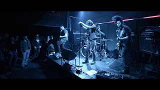 dead crows circle in a place live at six d o g s