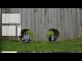 Flowgorithm - Happy Numbers