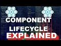 React Basics Component Lifecycle FULL with examples