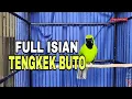 Download Lagu PANCINGAN CUCAK IJO GACOR||FULL ISIAN TENGKEK BUTO