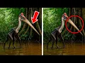 Lagu 100 000 -Year-Extinct Species Caught on Camera in the Amazon!