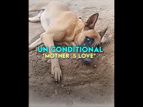 HEARTBREAKING MOTHER'S LOVE!💔 Headlights feat. KIDDO (Super Slowed)
