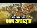 Download Lagu 🐹 KUPIŁEM NOWE ZWIERZĘTA 🐹 zakupy na targu zwierząt ! MOJE MINI ZOO / odc. 676