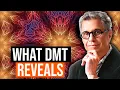 Download Lagu DMT: De wetenschap had het hier mis... | Dr. Alberto Villoldo