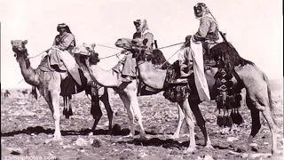 قصة البيت المشهور الاجواد في نجد والانذال في القرى وكل حجازي مداه قصيف للشاعر حمدان الشمراني 