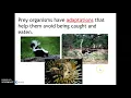 Ecological Relationships