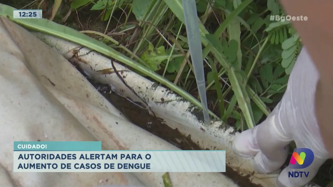 Cuidado! Autoridades alertam para o aumento de casos de dengue