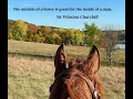 Nitro Equine now